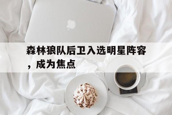 森林狼队后卫入选明星阵容，成为焦点